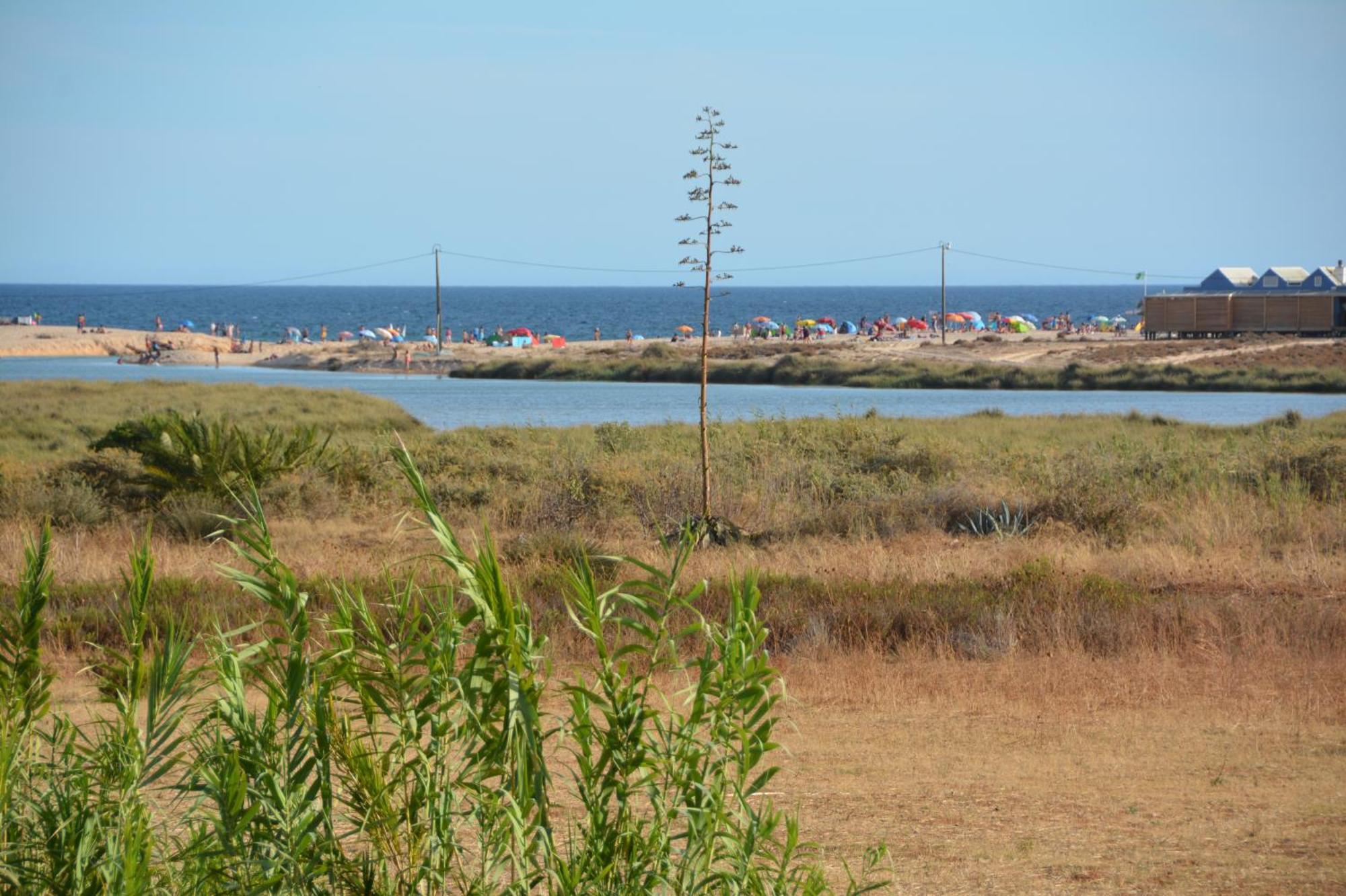 Praia Dria Armação de Pêra Esterno foto